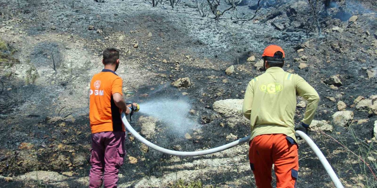 İzmir Aliağa yangını kontrol altında