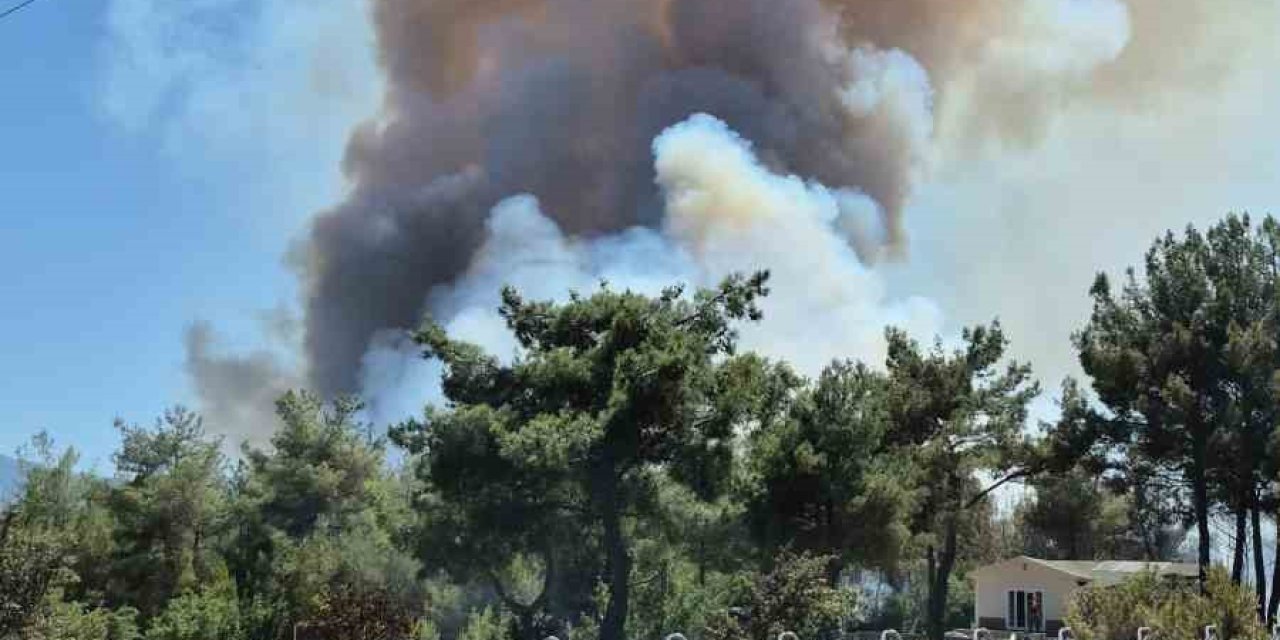 İzmir Bornova’da orman yangını