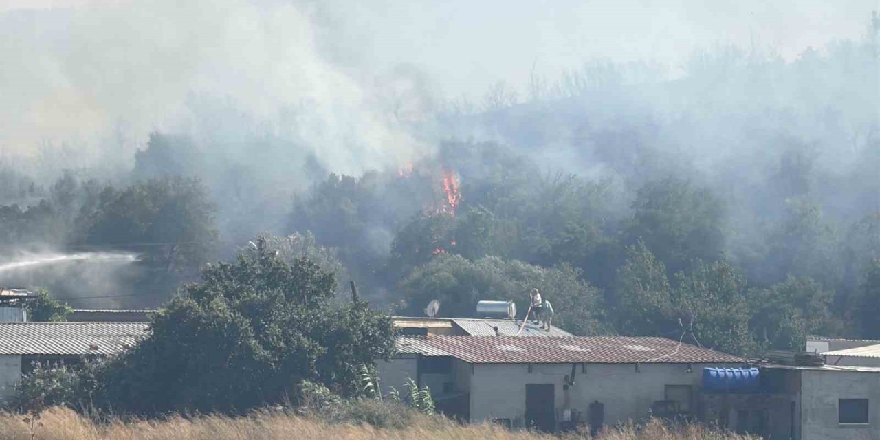 Bodrum’da makilik alanda yangın paniği