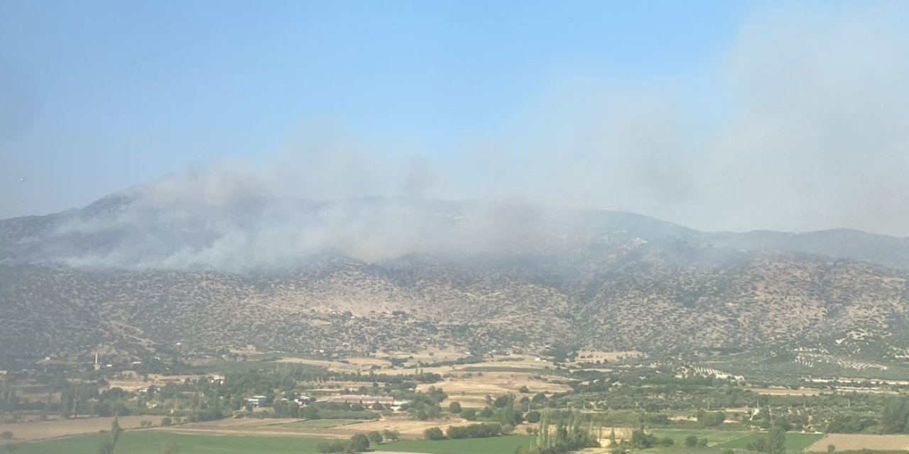 Bozdoğan’da makilik yangını