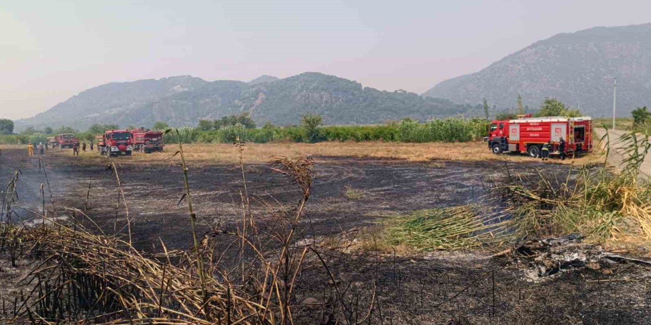 Ortaca’da sazlık yangını