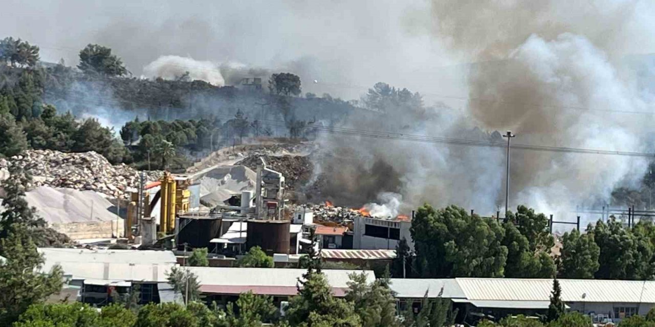 Belediyelerin çöpleri orman yangınına sebep oldu