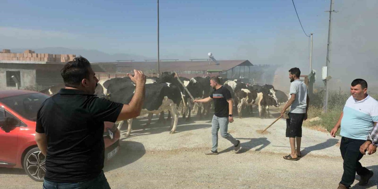 Tire’de makilik alandaki yangın köye sıçradı, bazı evler ve damlar küle döndü