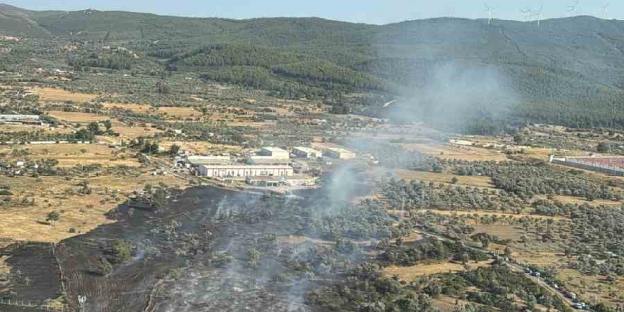 Bodrum’da çıkan zirai alan yangını büyümeden söndürüldü