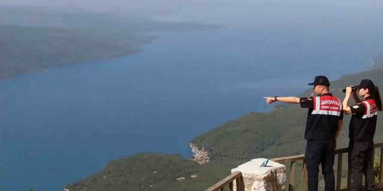 Komando, Polis Özel Harekât ve orman ekipleri ‘Yeşil Vatan’ nöbetinde