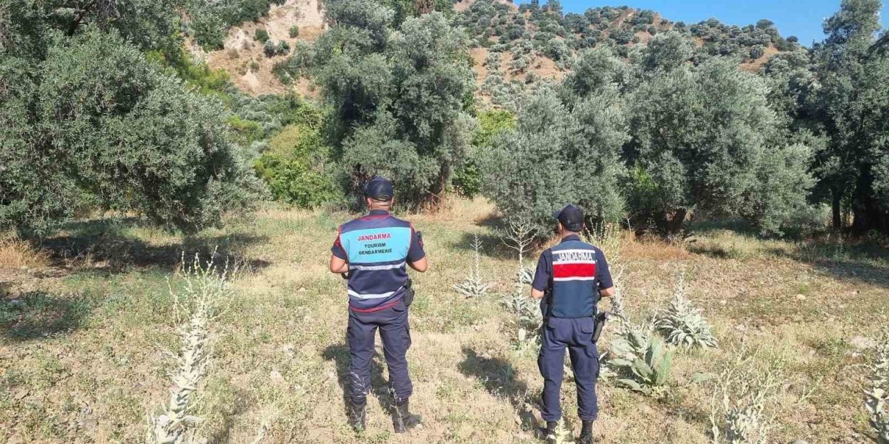 Ormanlık alanda mangal yakan 2 kişi yakalandı
