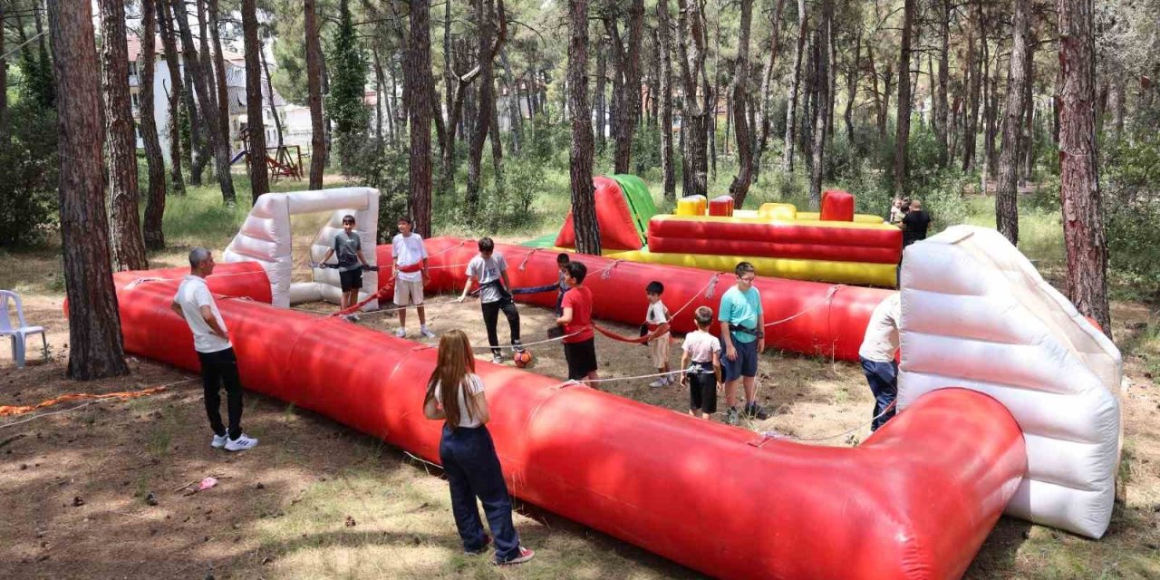 Denizli OSB, geleneksel bölge pikniğinde buluştu