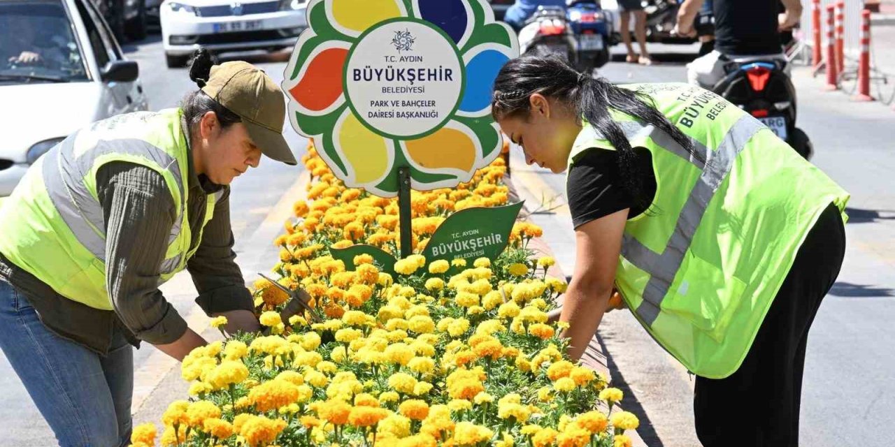 Aydın Büyükşehir’den Nazilli’de temizlik ve peyzaj çalışması