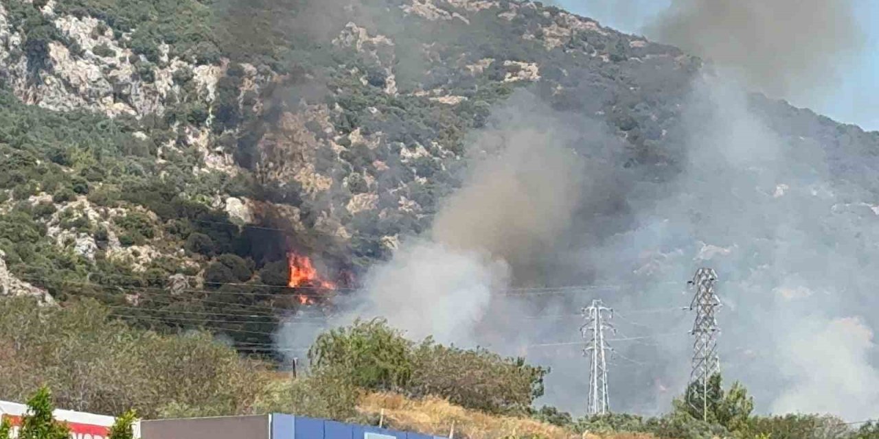 Bodrum’da makilik ve ormanlık alanda yangın çıktı