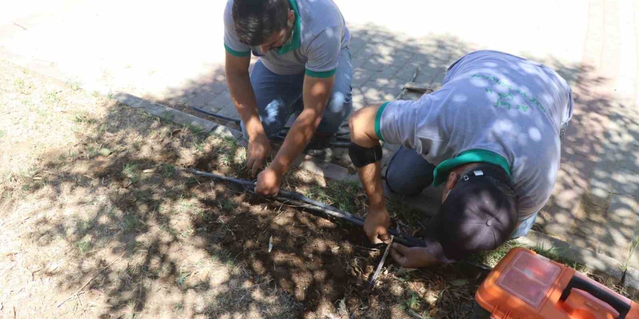 Nazilli Belediyesi su israfına karşı parklardaki damlama sistemlerini yeniliyor