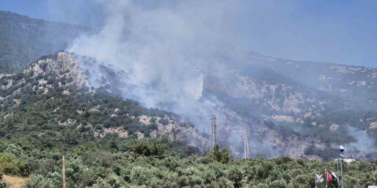 Bodrum’daki yangın kontrol altına alındı