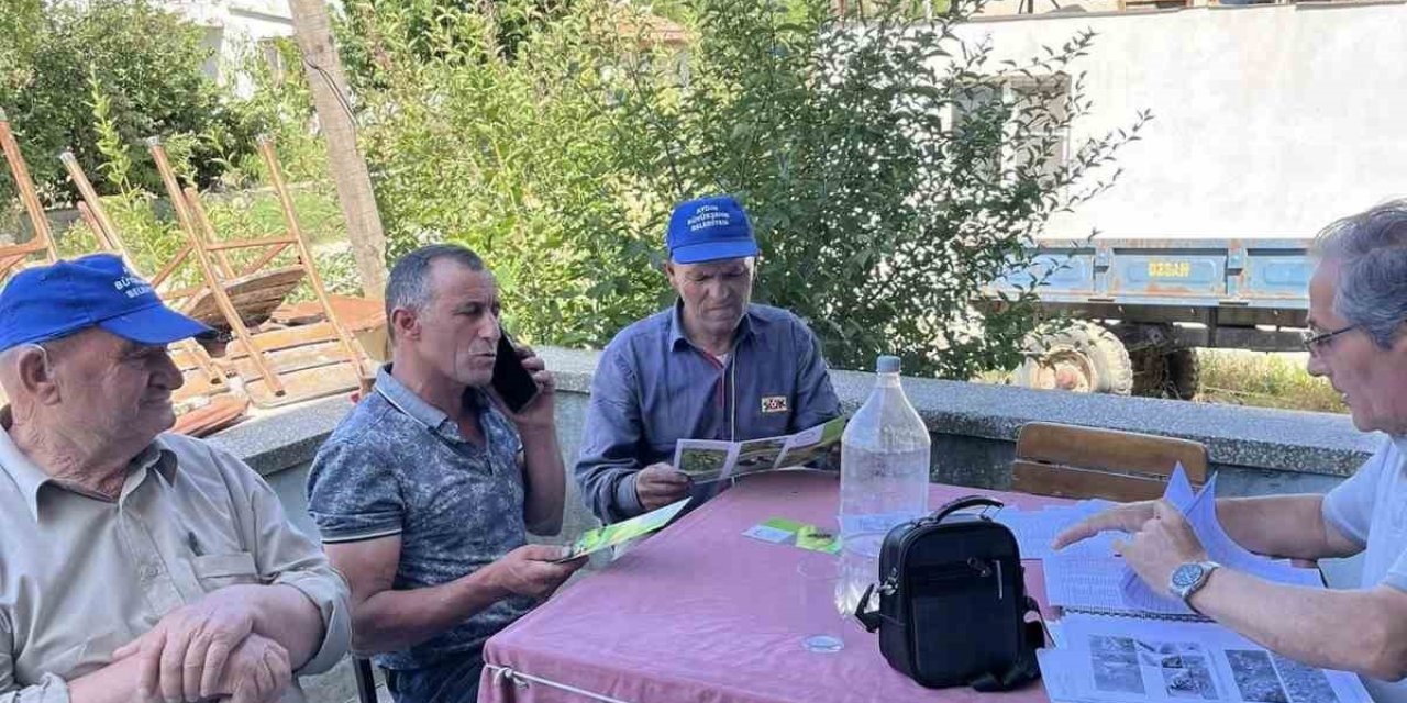 Kuyucak Tarım Müdürlüğü’nden üreticiye zararlı uyarısı