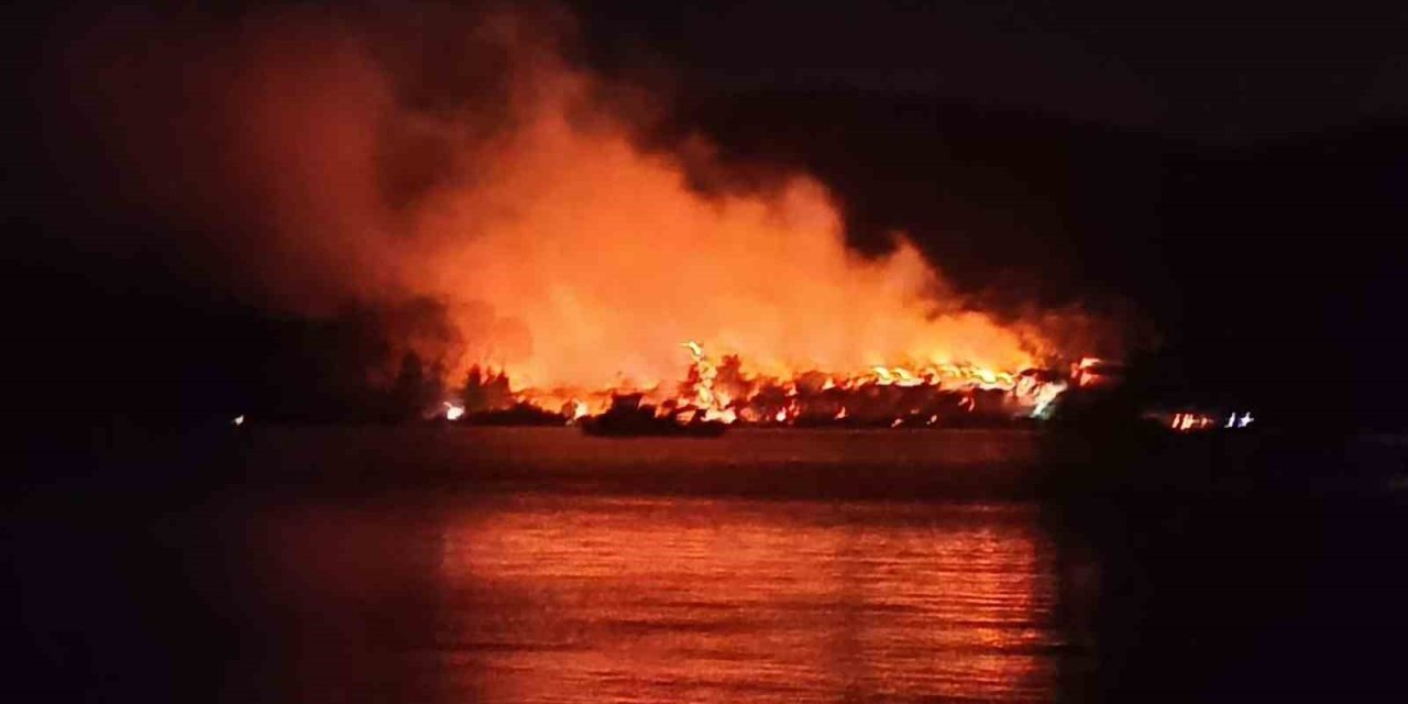 Milas’ta orman yangını