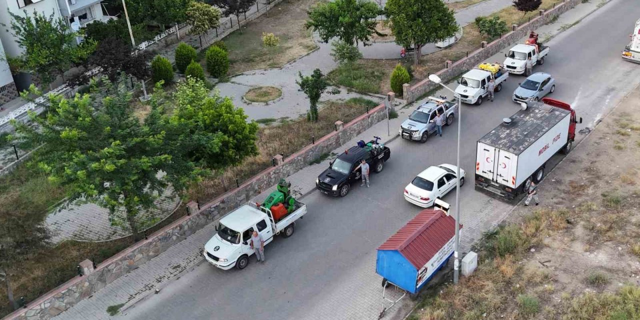 Nazilli Belediyesi’nden haşere ile etkin mücadele