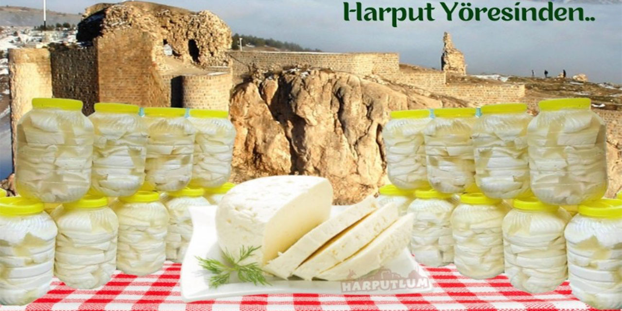 Elazığ peyniri neden bu kadar meşhur? Harputlum'da cevabı saklı