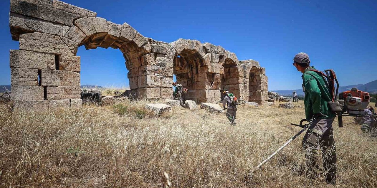 Laodikya yangın riskine karşı otlardan temizledi