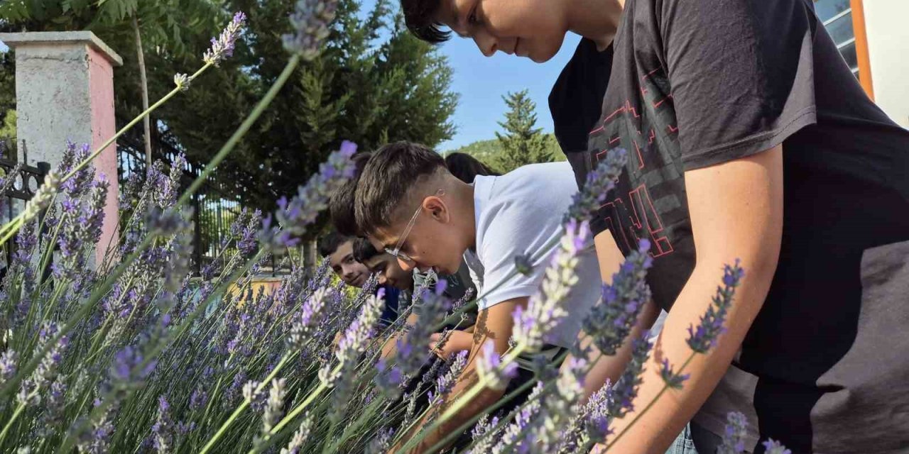 Gönüllü gençler Lavanta hasadında buluştu