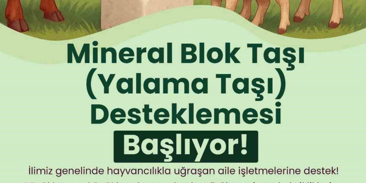 Büyükşehir’den hayvanlara yalama taşı desteği