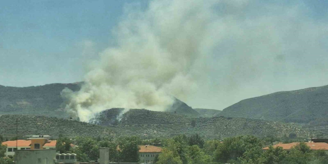 Yangınlar bu defa Selçuk’a sıçradı, alevlere karadan müdahale yapılıyor