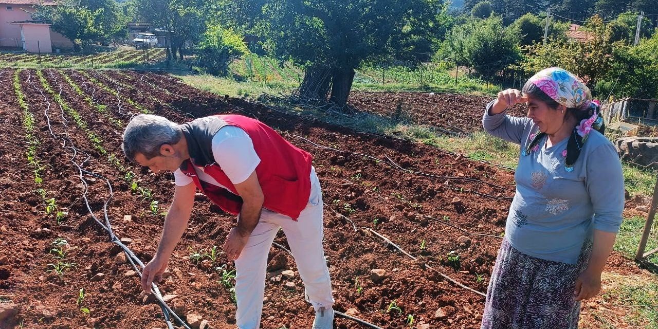 Menteşe’de tarım ekiplerinden ürün kontrolü ve çiftçi ziyareti gerçekleştirildi