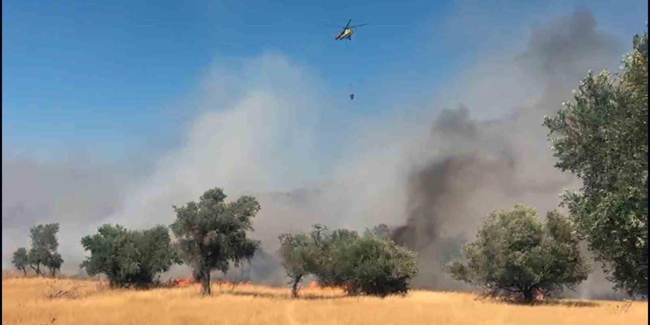 Milas Pınarcık yangınına 5 helikopter 4 uçak müdahale ediyor