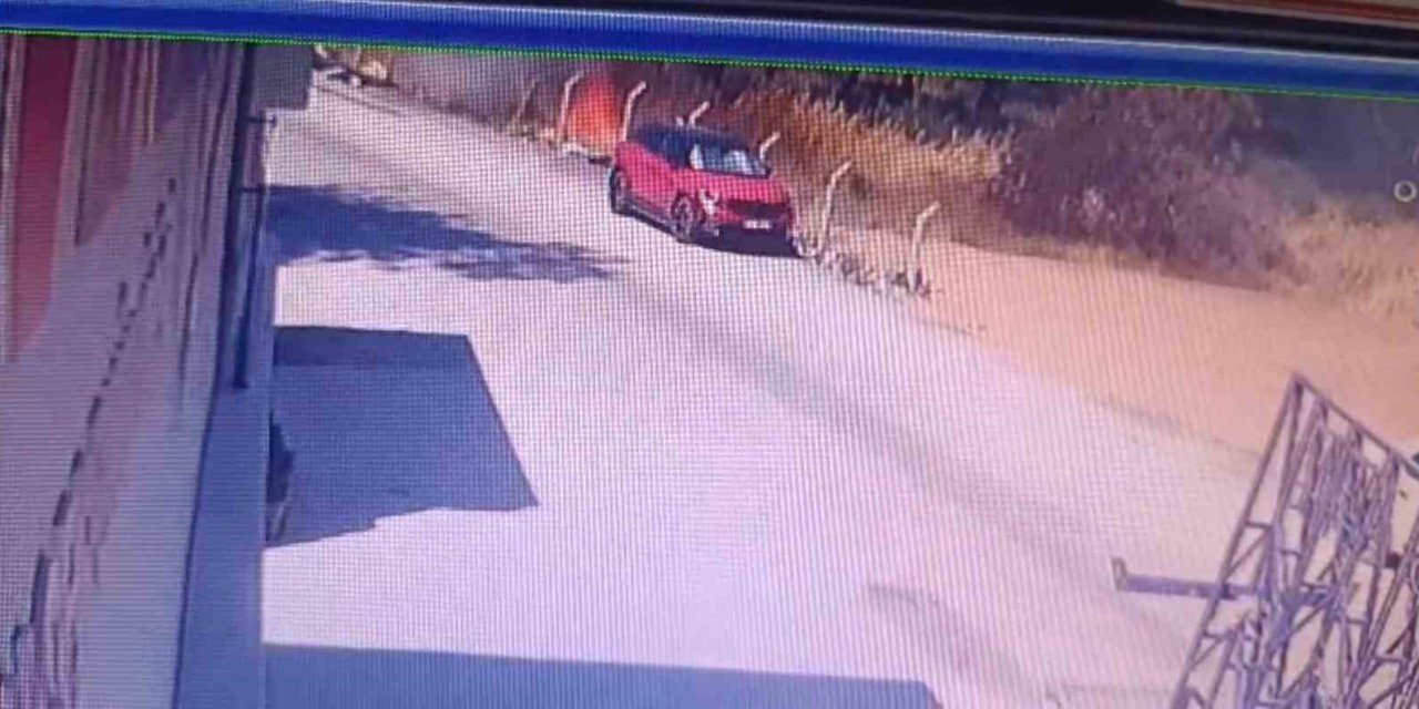 Buca’daki orman yangınının çıkış anı görüntüsü ortaya çıktı