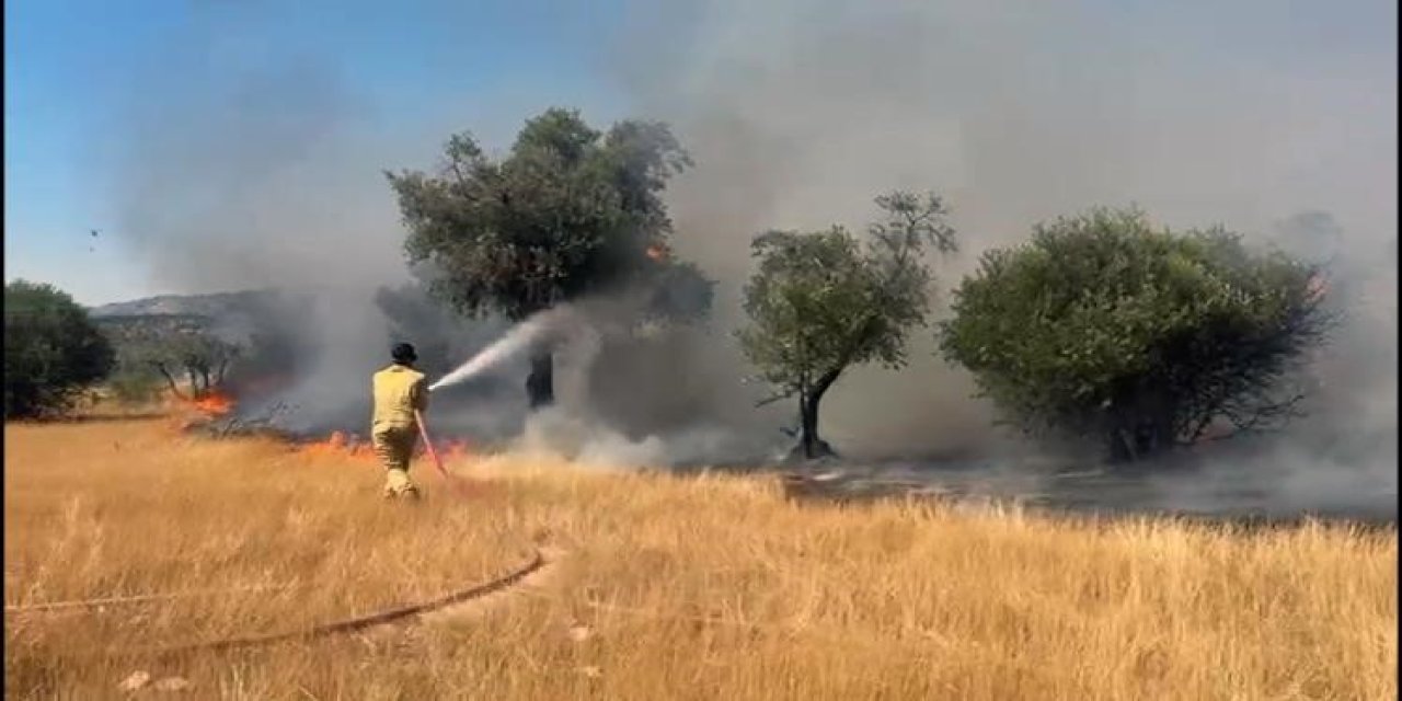 Milas Pınarcık yangını kontrol altına alındı