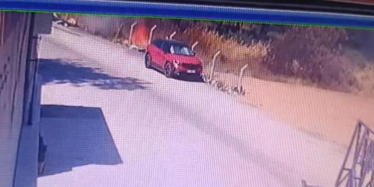 İzmir’deki büyük orman yangınının çıkış anı ortaya çıktı!
