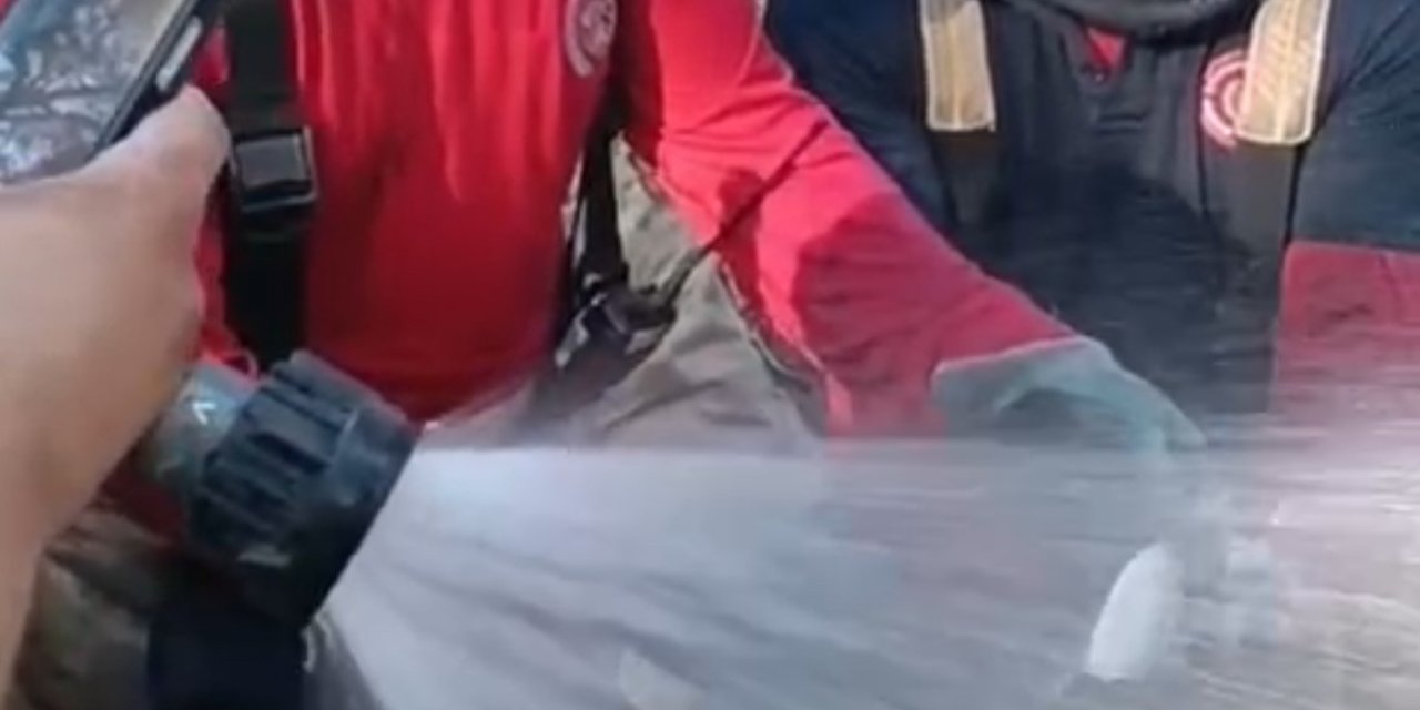 İzmir yangınında itfaiyeciler balığı kurtardı