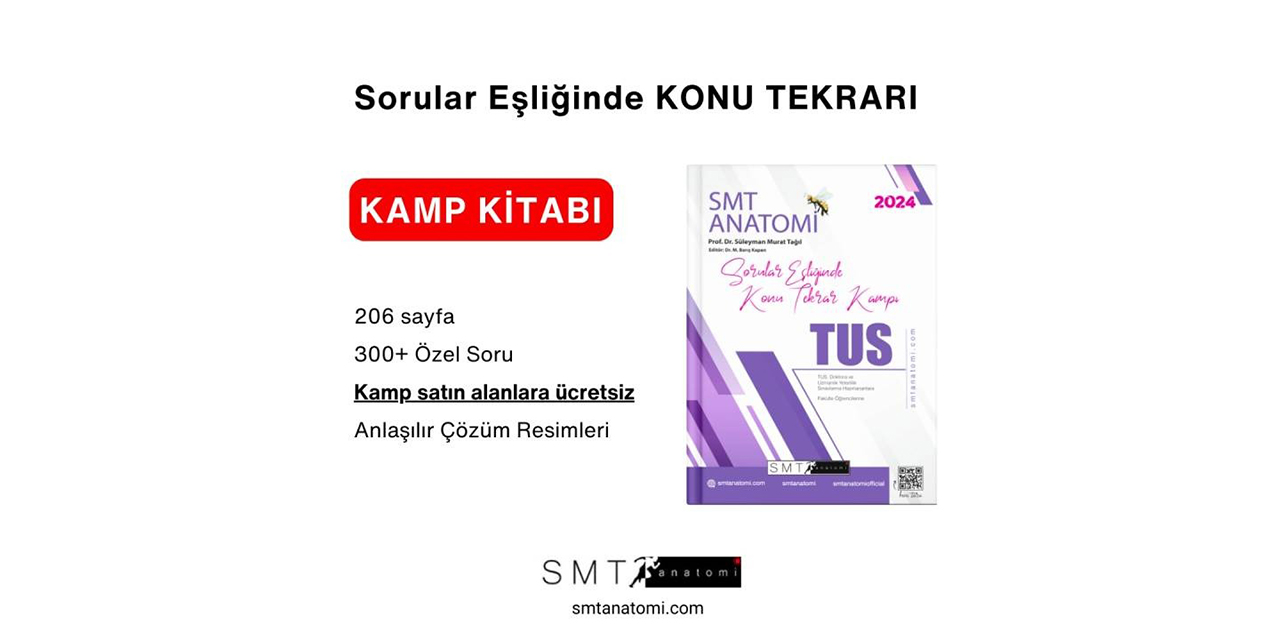 Tıp öğrencileri için anatomik çalışma stratejileri yaratın