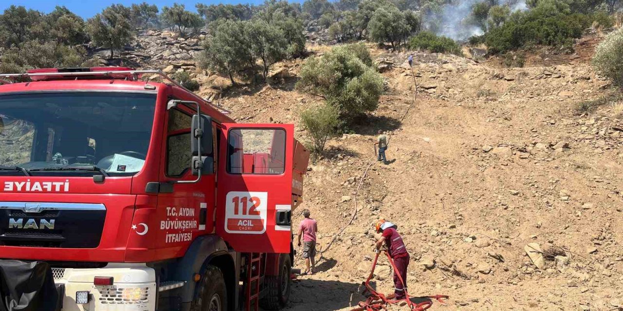 Bozdoğan’daki zirai alan yangını söndürüldü