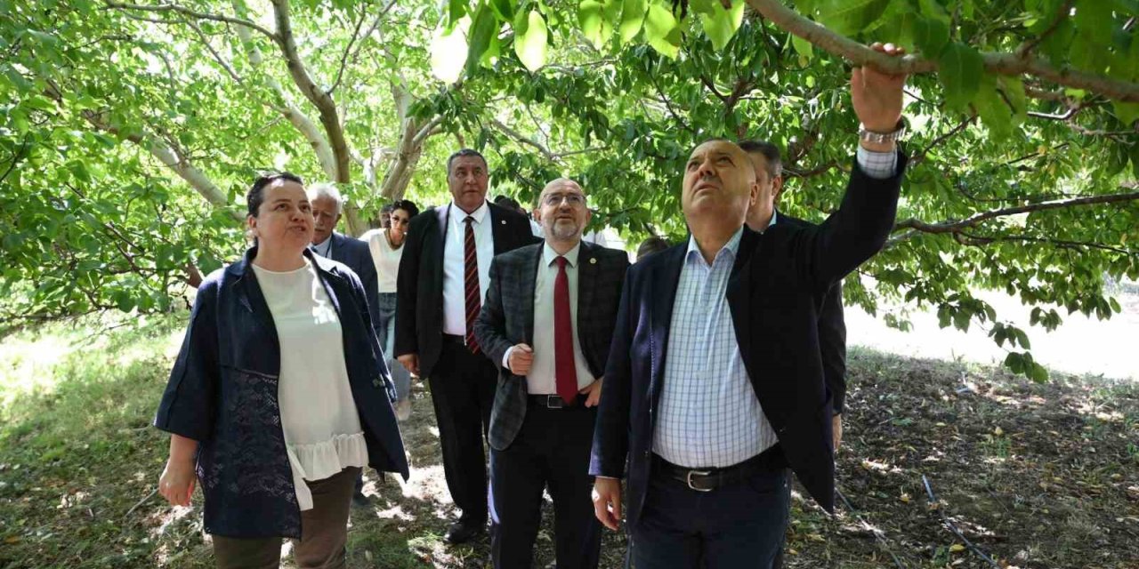 TBMM Zirai Don Araştırma Komisyonu Çivril’de meyve bahçelerini inceledi