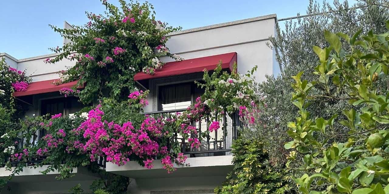 Bodrum’un en iyi fiyat-performans oteli: Villa Rustica Hotel Gündoğan