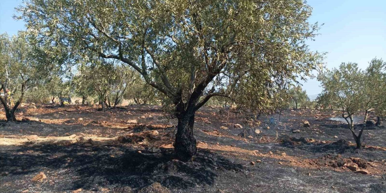 Karacasu’da tarım arazisi yandı, Başkan Büyükyapıcı uyardı