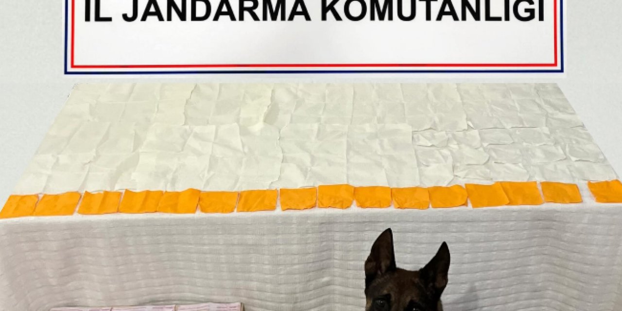 Jandarmanın uyuşturucu operasyonunda 60 bin kullanımlık bonzai ele geçirdi