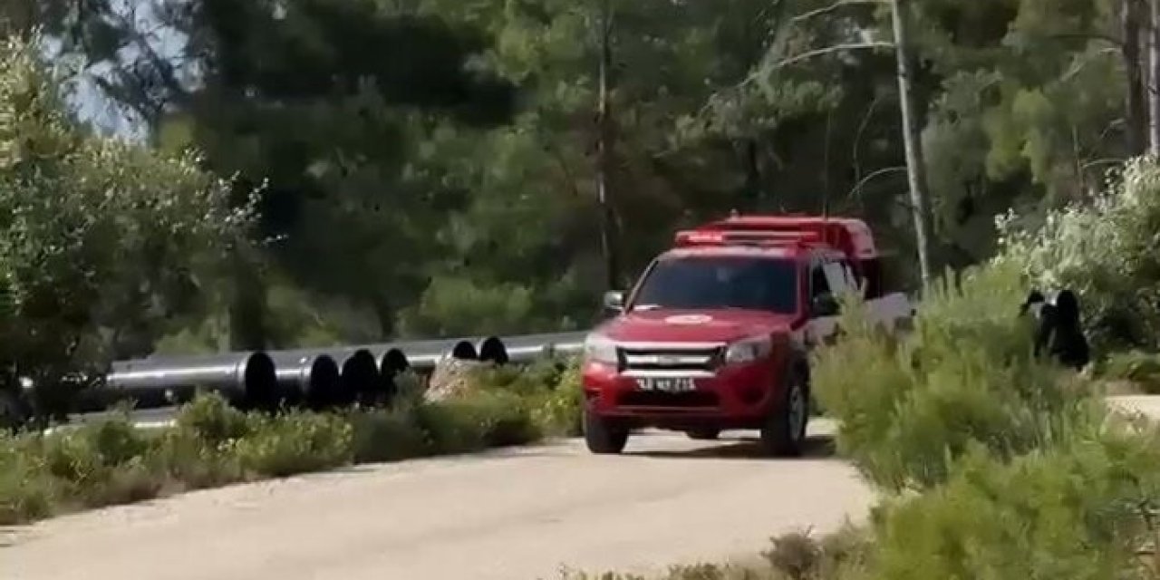 Muğla’da kurumlar yaz aylarında doğayı korumak için teyakkuzda