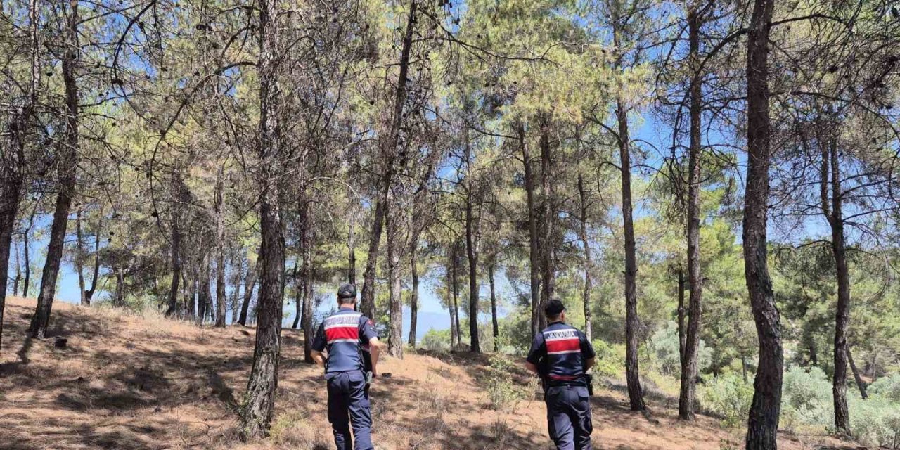 Jandarmanın ‘orman’ nöbeti aralıksız devam ediyor