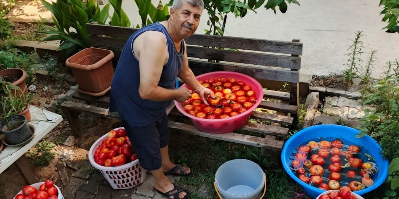 Aydın’da salça yapım telaşı başladı