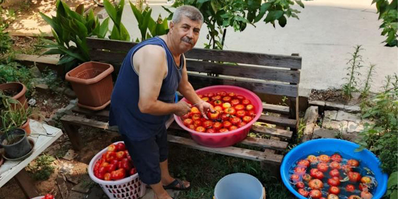 Aydın’da domates mevsimi erken açtı, salça telaşı başladı