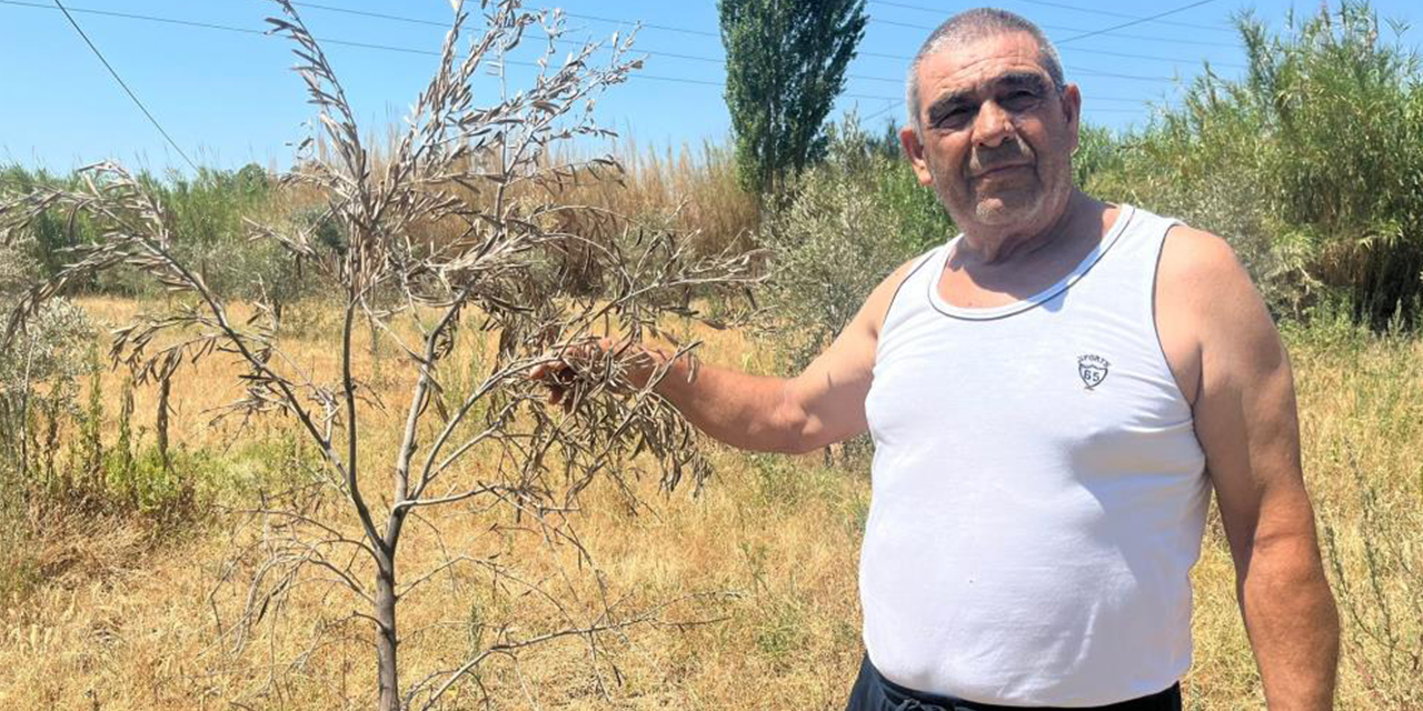 İkizdere’den su akmayınca doğa susuz kaldı