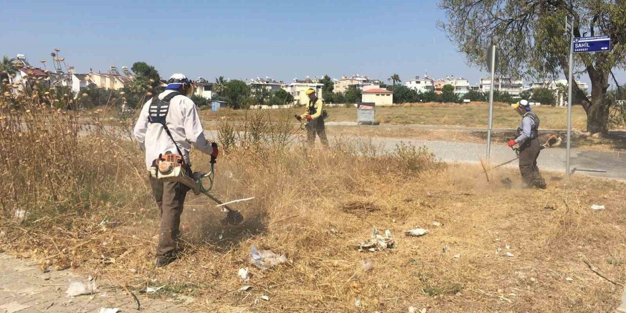 Didim genelinde temizlik ve yeşil alan bakımları yaz boyunca devam edecek