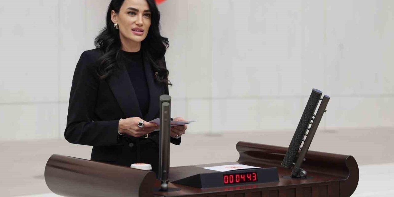 AK Parti Aydın Milletvekili Sarıbaş; Başarıyı gölgeleyemezsiniz, kronik önyargılarınızdan kurtulun