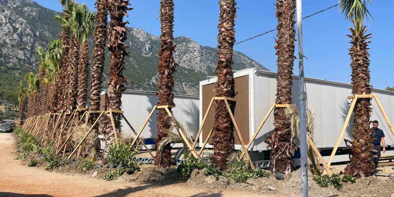Menteşe Belediyesi Akbük’te 11 Tiny House’u mühürledi