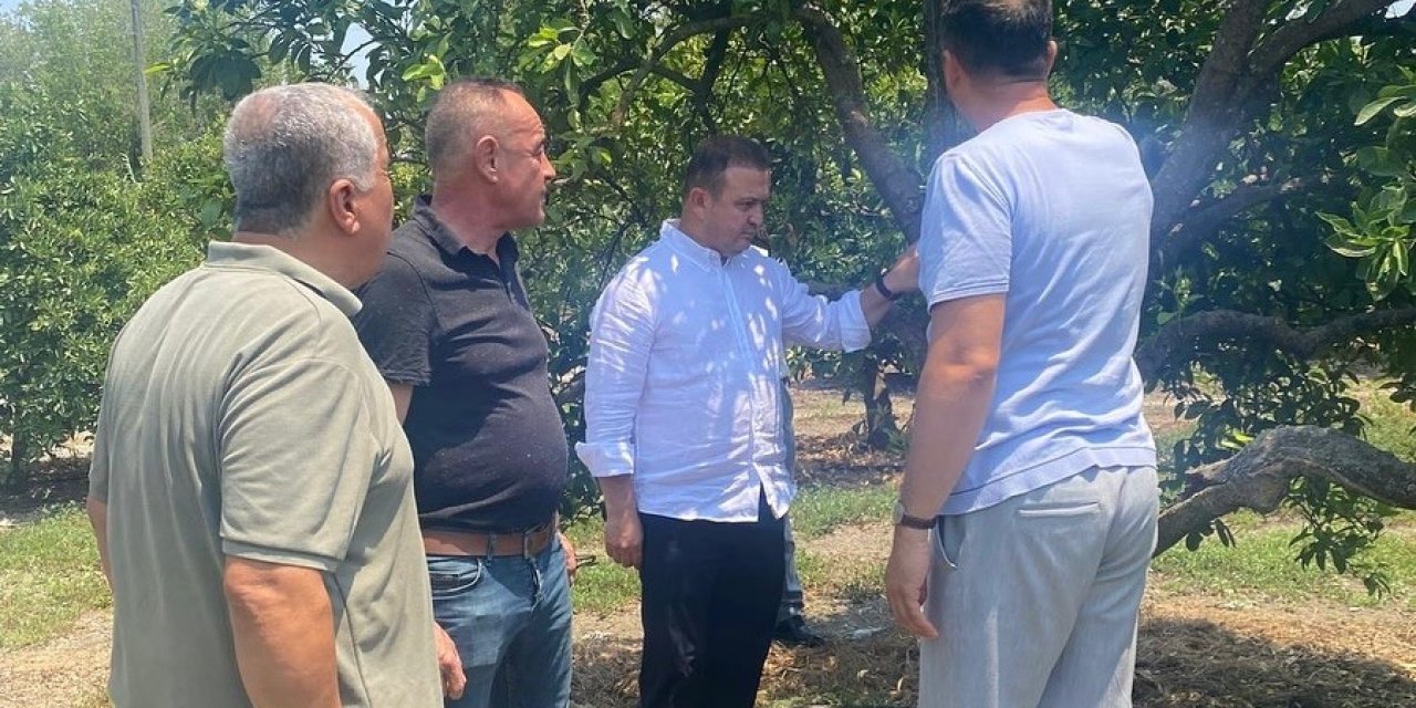 Tarıma yerinde rehberlik üreticilerin sorunları dinlendi, çözüm önerileri sunuldu