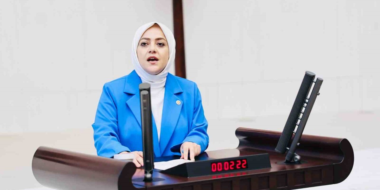 Milletvekili Ün; "Vahşi madencilik kar dışında hiçbir değeri tanımıyor"