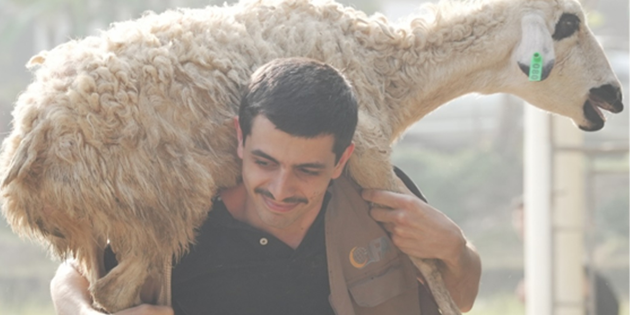 2025 kurban faaliyeti Endonezya'da tamamlandı