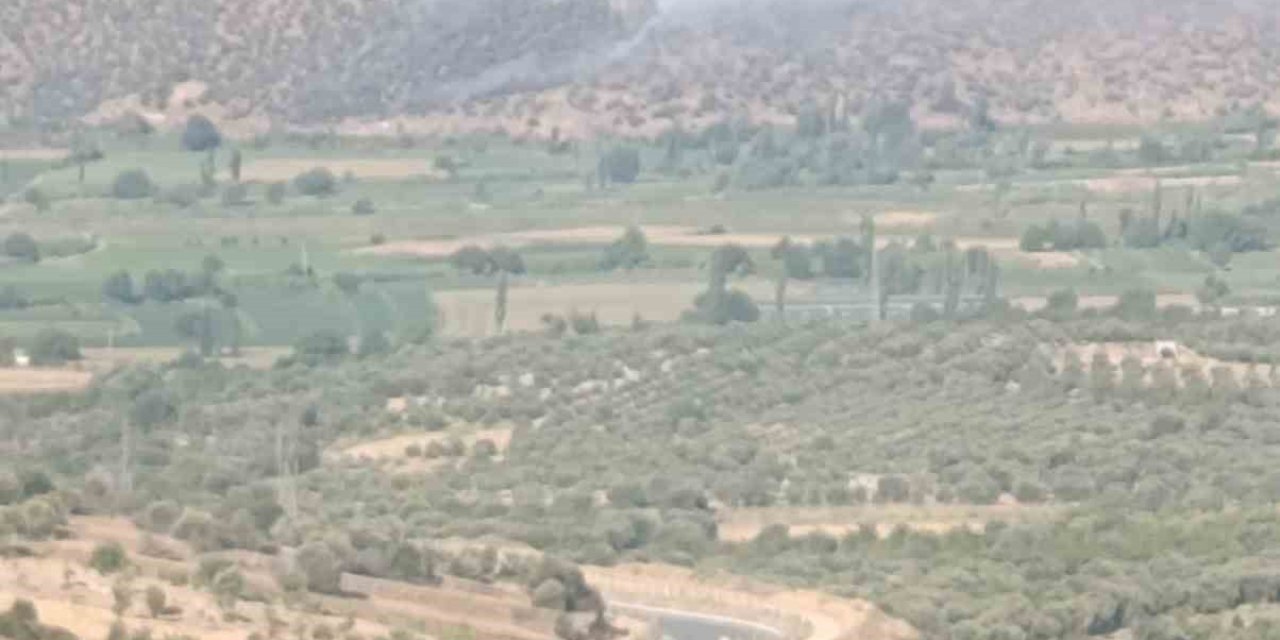 Nazilli’de makilik ve zirai alan yangını