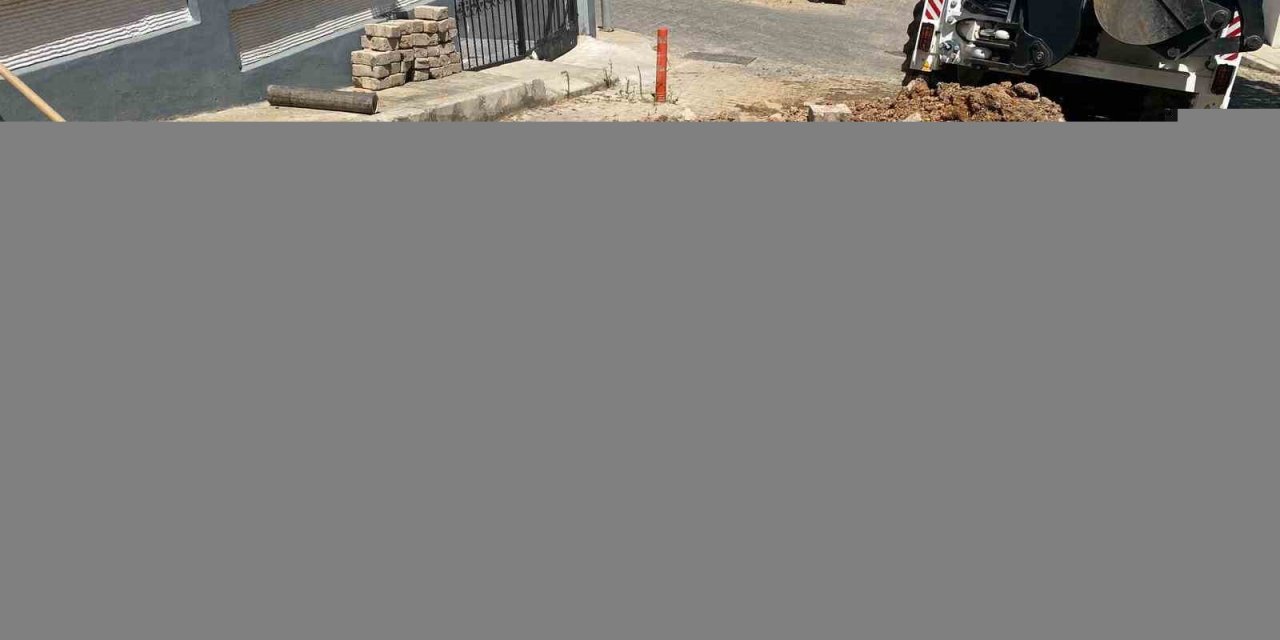 İzmir’de boşa akan su, domuzlara park oldu