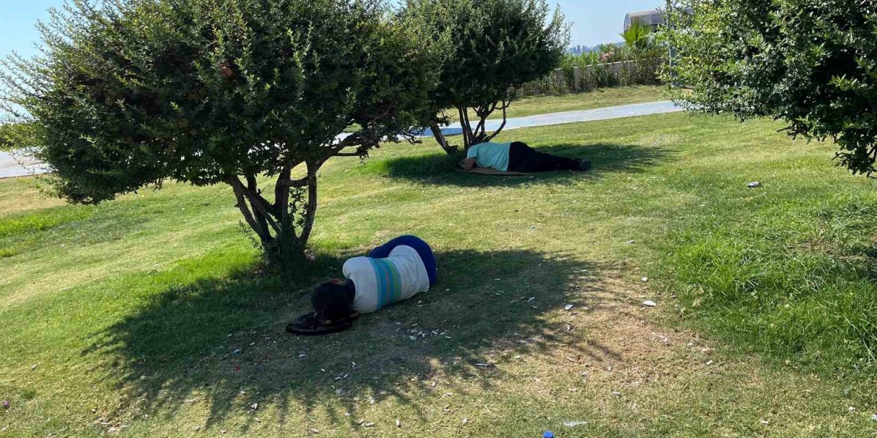 İzmir’de sıcak hava bunalttı, vatandaşlar ağaç gölgelerine kaçtı