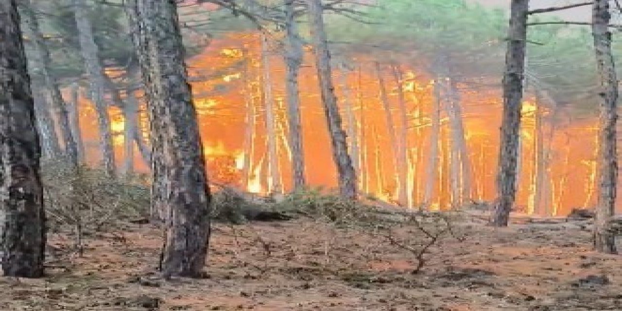 Eskişehir’deki orman yangınında 2 Denizlili ormancı şehit oldu